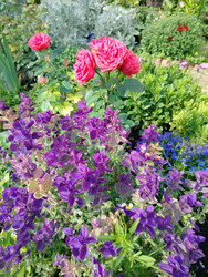 Similar image 22294443