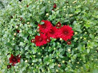 Similar image 22294444