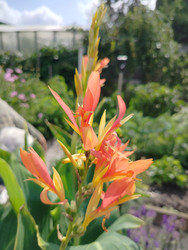 Similar image 22294445