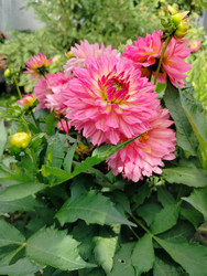 Similar image 22294446