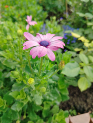 Similar image 22294448