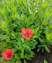 Similar image 22294449