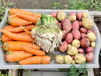 Similar image 22294451