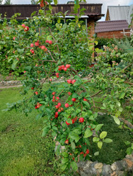 Similar image 22294452