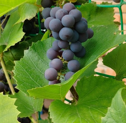 Similar image 22294453