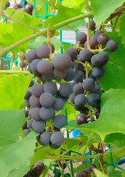 Similar image 22294454