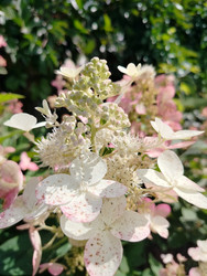 Similar image 22294455