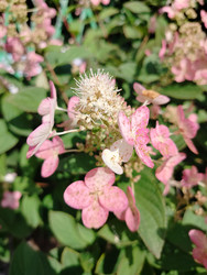 Similar image 22294456