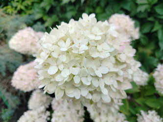 Similar image 22294457