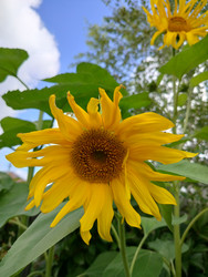 Similar image 22294458