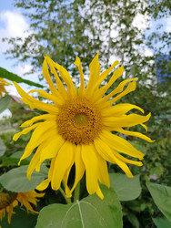 Similar image 22294459