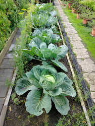 Similar image 22294460