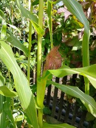 Similar image 22294461