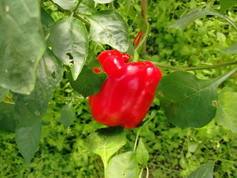 Similar image 22294462