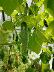 Similar image 22294463