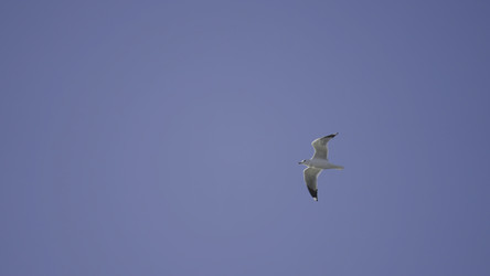 Similar image 22328629