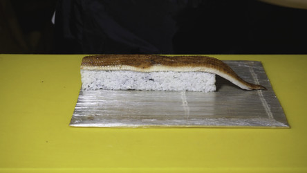 Similar image 22328900