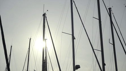 Similar image 22329633