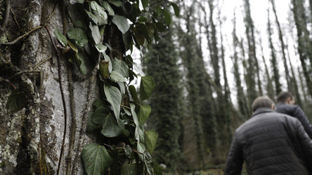 Similar image 22329637