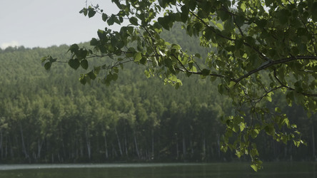 Similar image 22329883