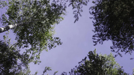 Similar image 22330511