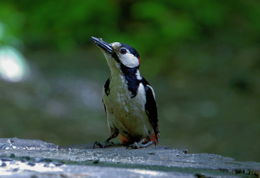 Similar image 22294100