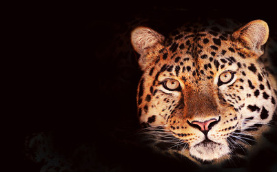 Similar image 22291935