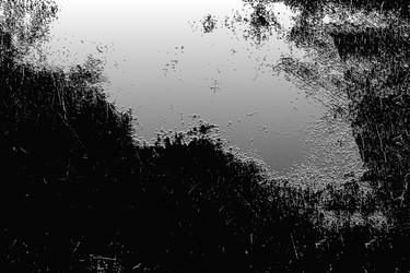 Similar image 22291959