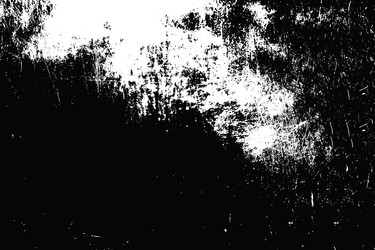 Similar image 22291961