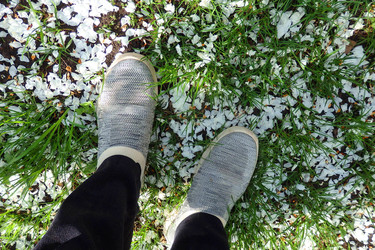 Similar image 22294234