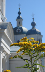 Similar image 22294237