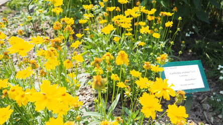 Similar image 22317911