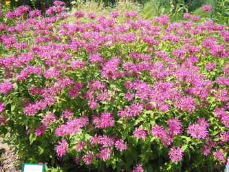 Similar image 22317912