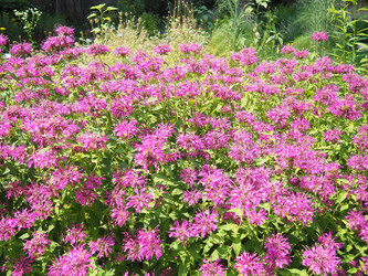 Similar image 22317913