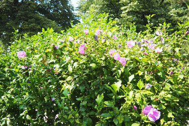 Similar image 22317915