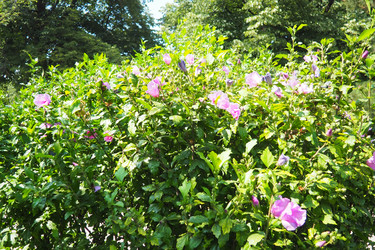 Similar image 22317916