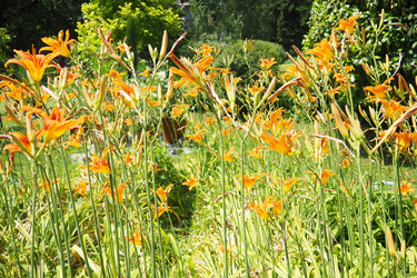 Similar image 22317917