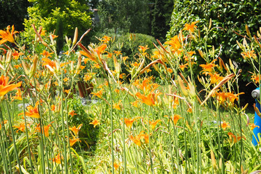 Similar image 22318039