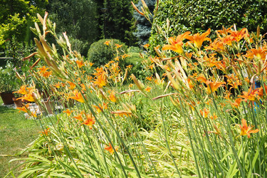 Similar image 22318040