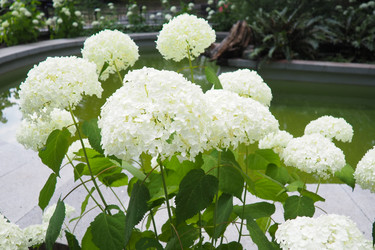 Similar image 22318041