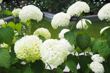 Similar image 22318322