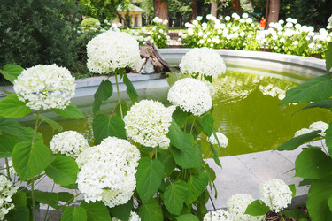 Similar image 22326480