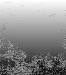 Similar image 22292021