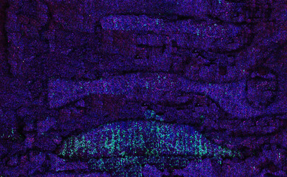 Similar image 22292037