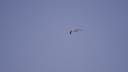 Similar image 22328634