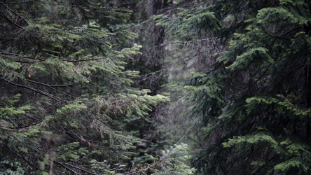 Similar image 22328635