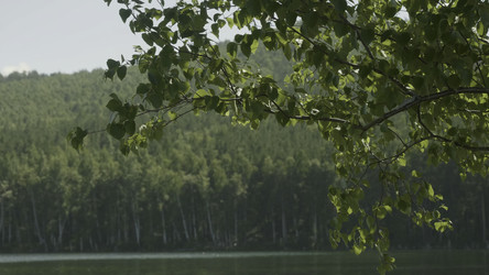 Similar image 22330130