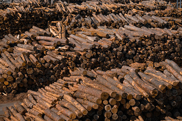 Similar image 22296826