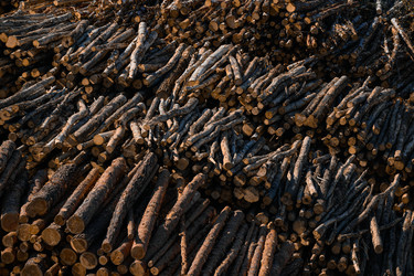 Similar image 22296827