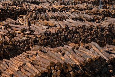 Similar image 22296828